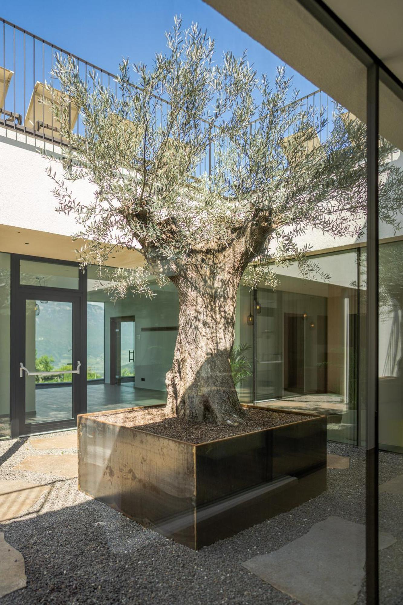 מונטניה Hotel Tenz 2025 מראה חיצוני תמונה